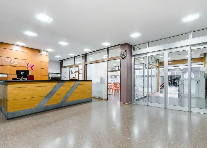 Crisol Faycan 호텔